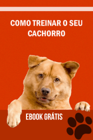 COMO-TREINAR-O-SEU-CACHORRO-1.png